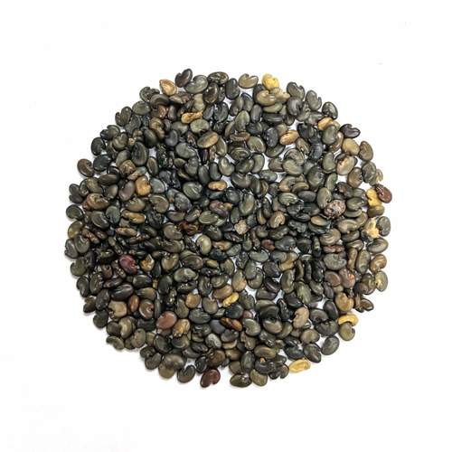 Sunn hemp seeds supplier in India